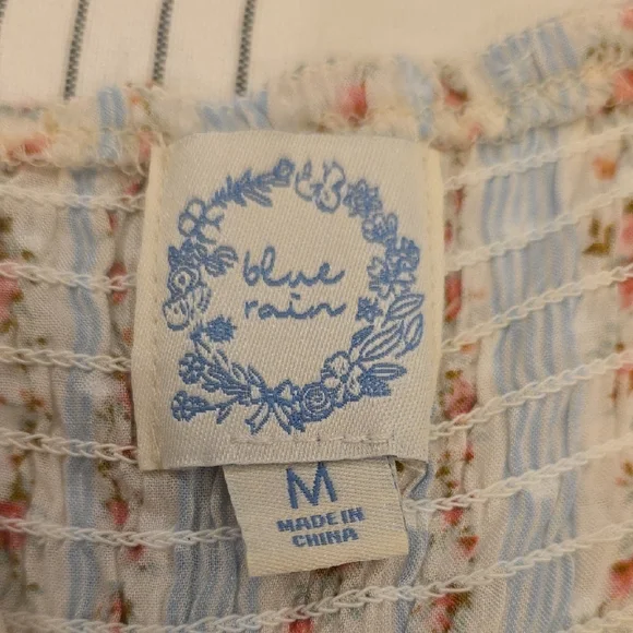 Blue Rain Floral Striped Mini Dress - Picture 2 of 6